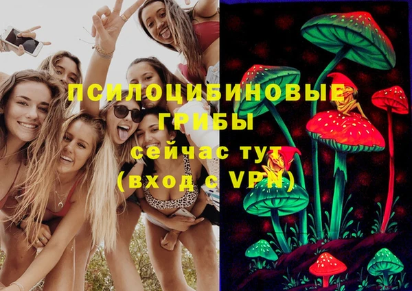 ПСИЛОЦИБИНОВЫЕ ГРИБЫ Армянск