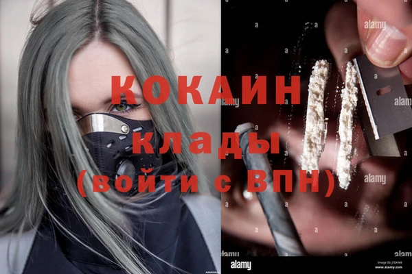 крисы Арсеньев
