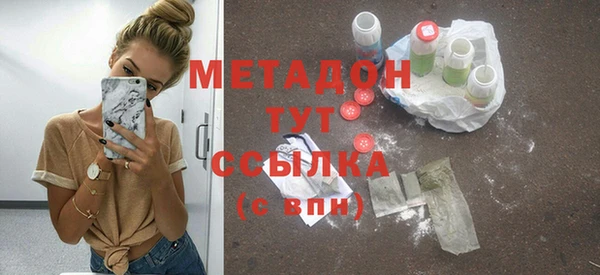 прущие грибы Аркадак