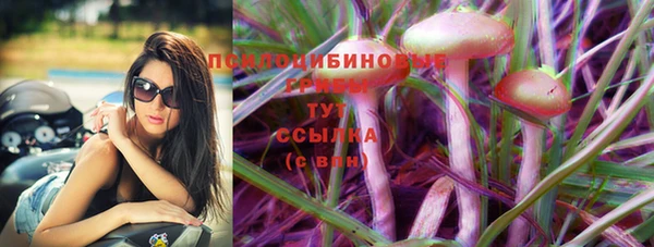 ПСИЛОЦИБИНОВЫЕ ГРИБЫ Армянск