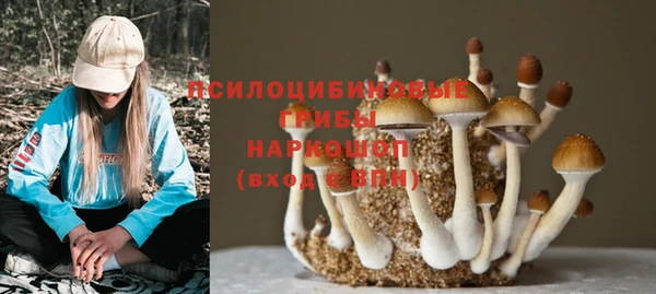 бутик Пересвет