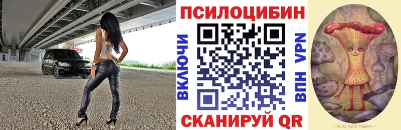 blacksprut сайт Хвалынск Псилоцибиновые грибы Psilocybe